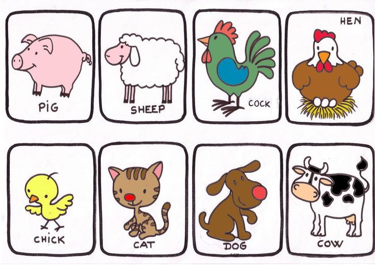  Animales en Inglés